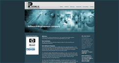 Desktop Screenshot of npsystems.com
